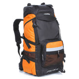 45L Lion Backpack