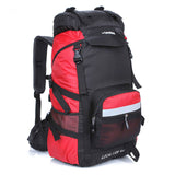 45L Lion Backpack