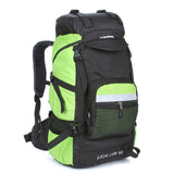 45L Lion Backpack