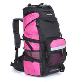 45L Lion Backpack