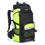 45L Lion Backpack