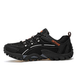 Hiking shoes